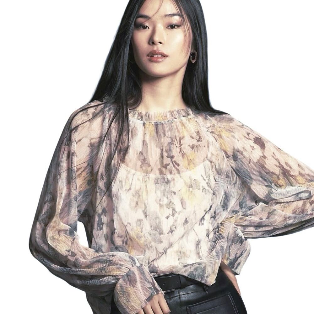 ANTHROPOLOGIE Women’s Boho Pleated Mesh Neutral Floral Print Top